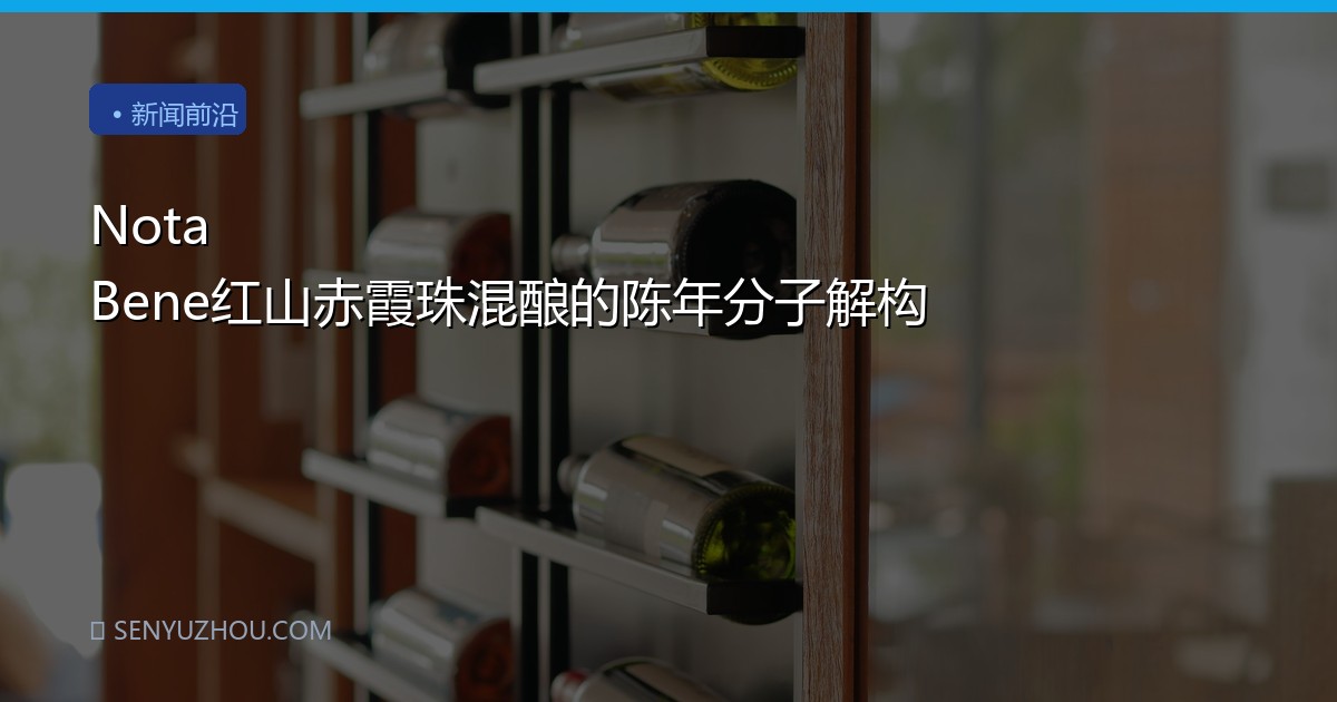 Nota Bene红山赤霞珠混酿的陈年分子解构