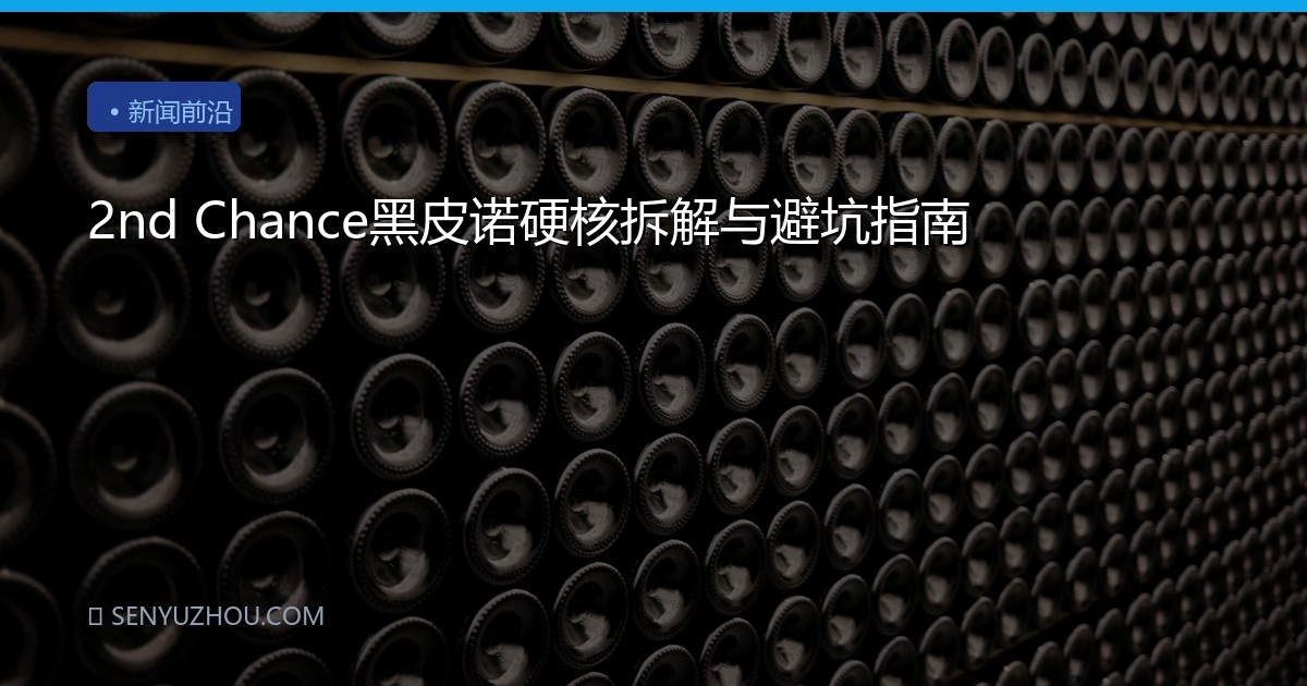 2nd Chance黑皮诺硬核拆解与避坑指南