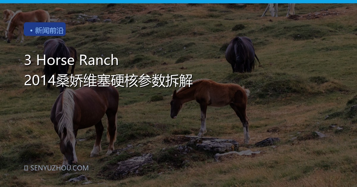 3 Horse Ranch 2014桑娇维塞硬核参数拆解